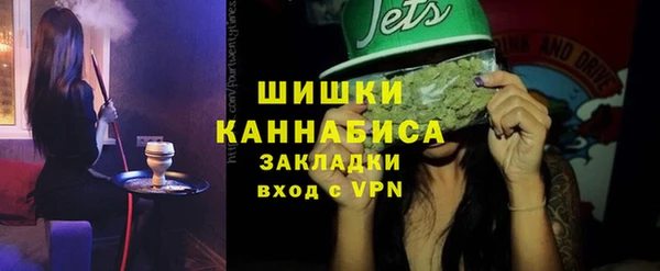 тгк Пересвет
