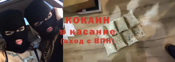 тгк Пересвет