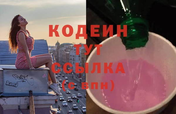 тгк Пересвет