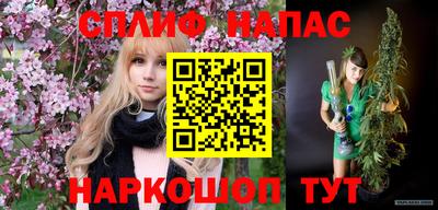 стаф Будённовск