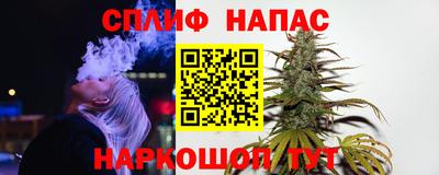 стаф Будённовск