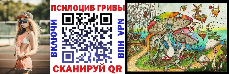 Псилоцибиновые грибы MAGIC MUSHROOMS как найти закладки ОМГ ОМГ зеркало Кольчугино