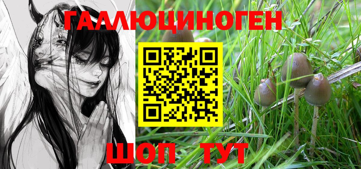 Галлюциногенные грибы ЛСД  Кольчугино  Псилоцибиновые грибы прущие грибы 