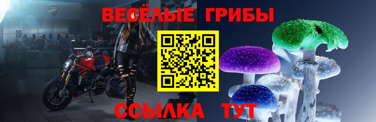 Галлюциногенные грибы MAGIC MUSHROOMS  Вход с VPN  Галлюциногенные грибы мицелий  Кольчугино 