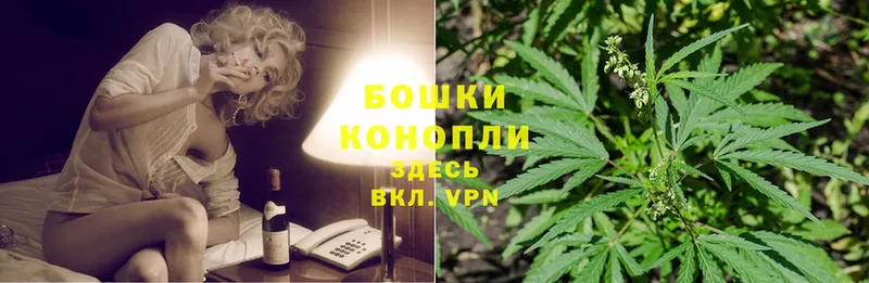 МАРИХУАНА SATIVA & INDICA  Кольчугино 