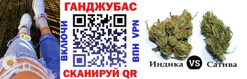Каннабис сатива  Кольчугино 